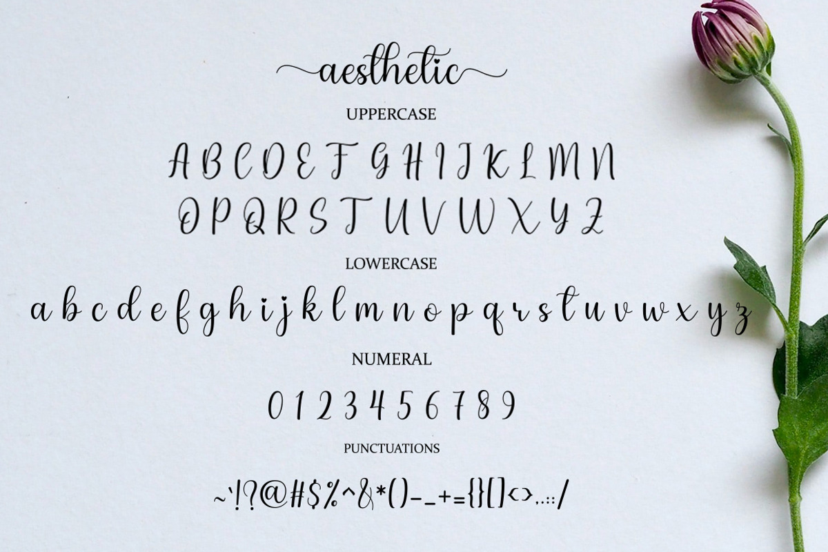 Aesthetic Font, a Script Font by Cut Story (Photo 6 of 8)