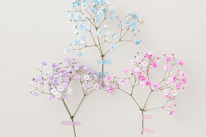 Delicate pastel flowers from floral, a Holiday Photo by Edalin's Store