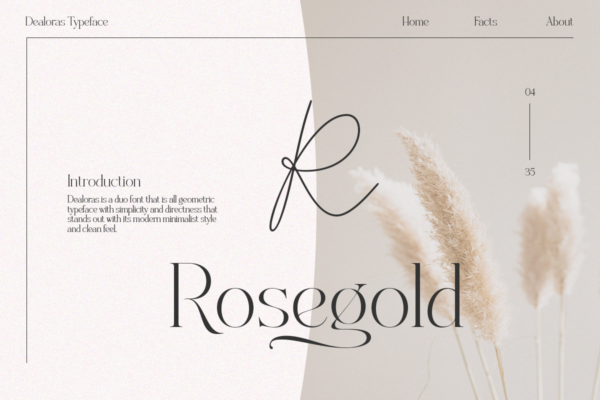 Dealoras Font Duo, a Serif Font by Attract Studio (Photo 4 of 17)