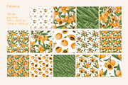 Loquat watercolor clip art, an Illustration by Alena Sid (Thumbnail 13 of 15)