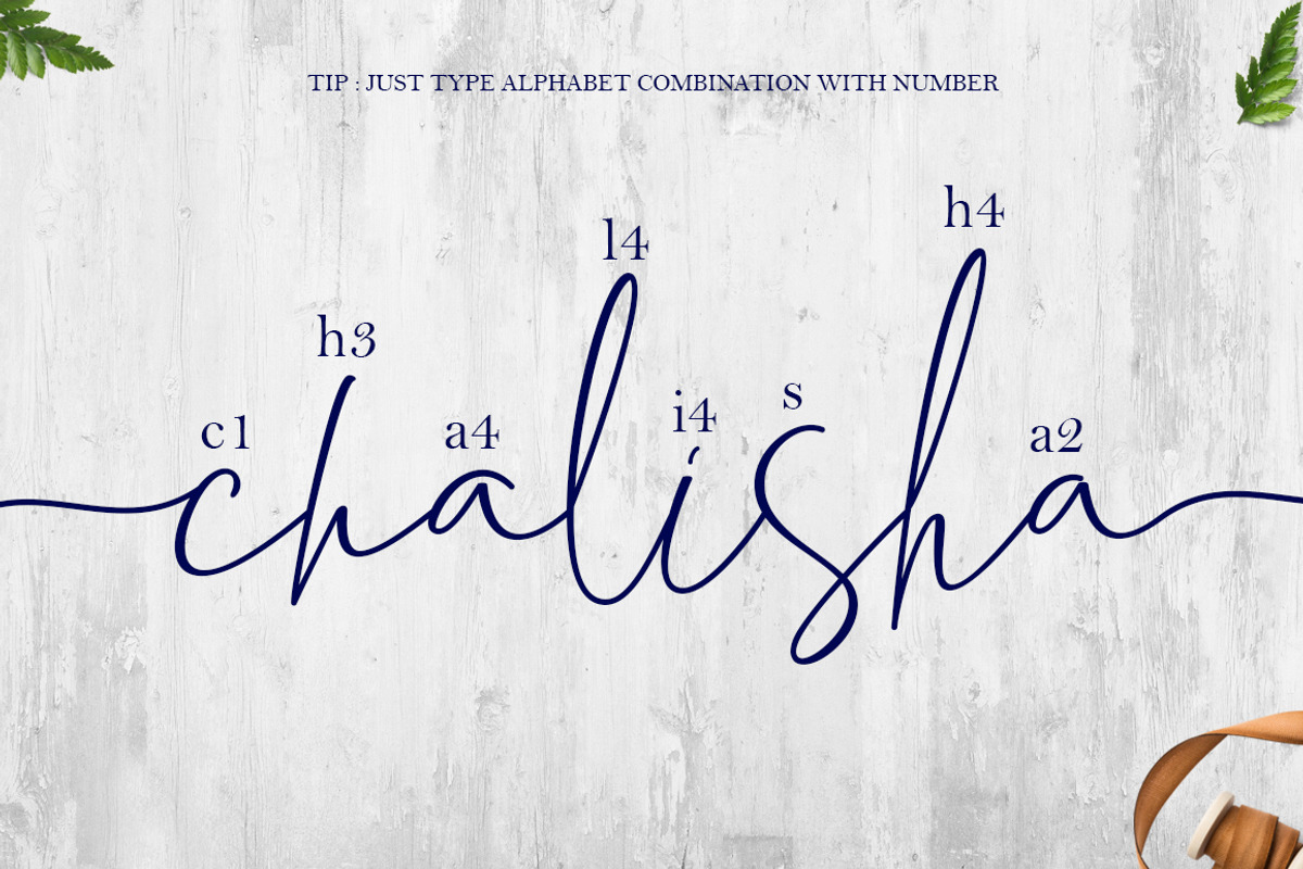 Chalisha Modern Calligraphy, a Script Font by Teweka (Photo 9 of 12)