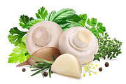 Thyme, an Object Graphic by Hortimages (Thumbnail 2 of 3)