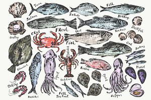 Fish and seafood sketches, a Food Illustration by katya.bogina