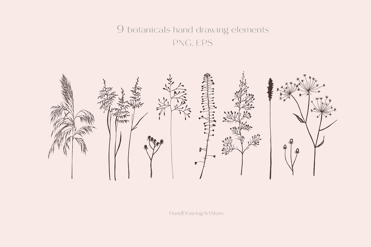 Wildflower and Insect collection, an Illustration by Hand drawn Boutique (Photo 3 of 7)