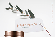 Pumpkin Spice Latte | Brush Script, a Script Font by Inky Jar Design Studio (Thumbnail 2 of 8)