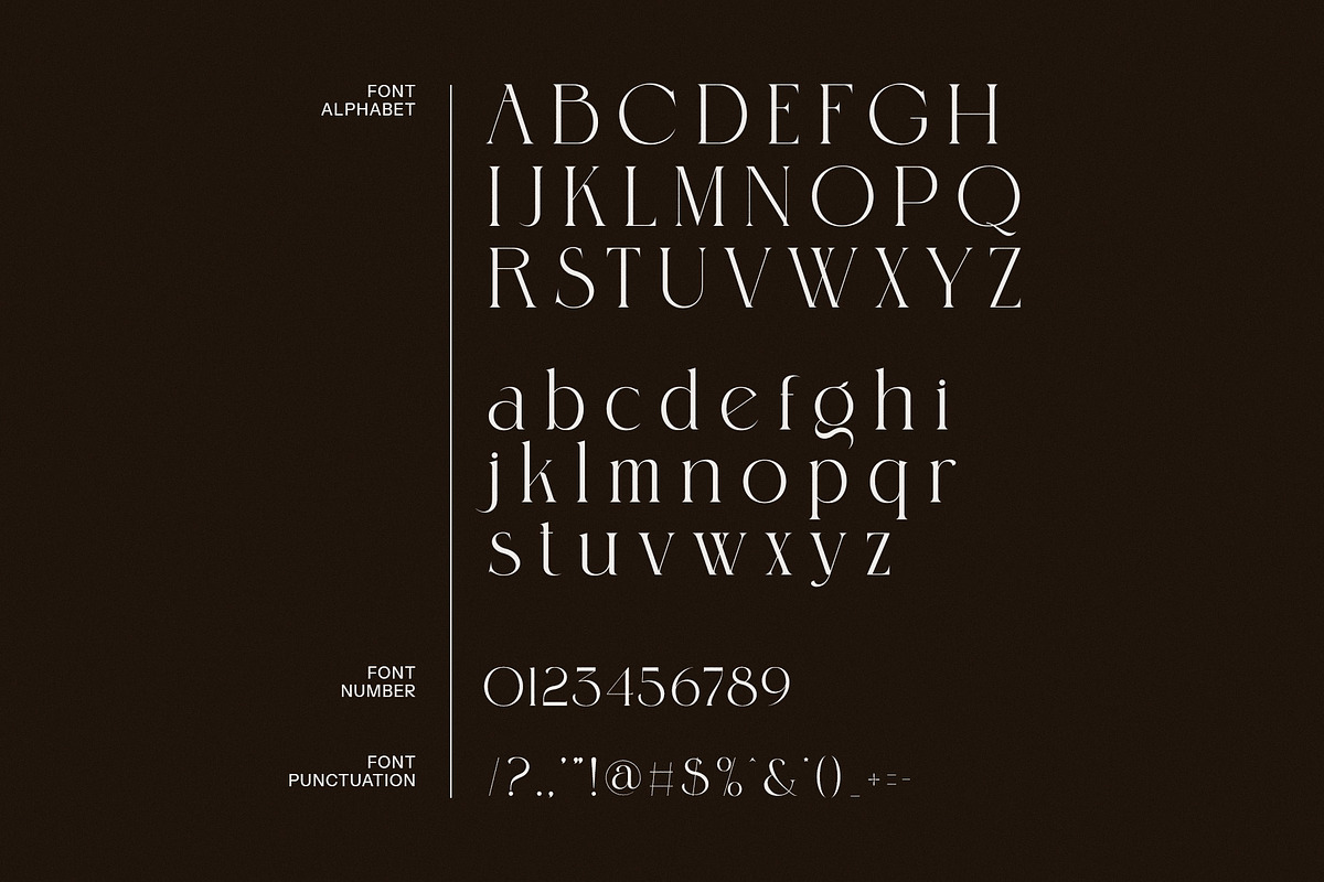 Bimora Stylish Serif Font, a Serif Font by Graphicxell (Photo 8 of 8)