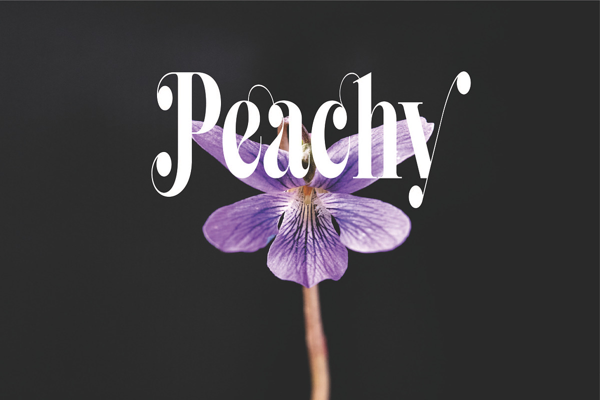 Saniyah, a Sans Serif Font by AleraStudio (Photo 6 of 7)