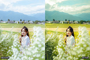 Ai Cherry Blossom Lightroom Presets, a Brushes & More by AAA Presets (Thumbnail 3 of 13)