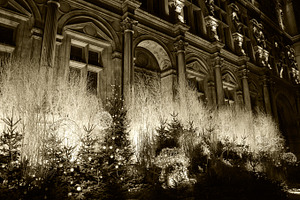 Hotel de Ville at Christmas time