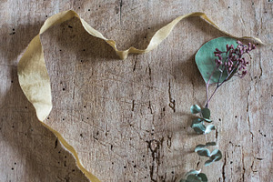 Organic heart - styled stock photo