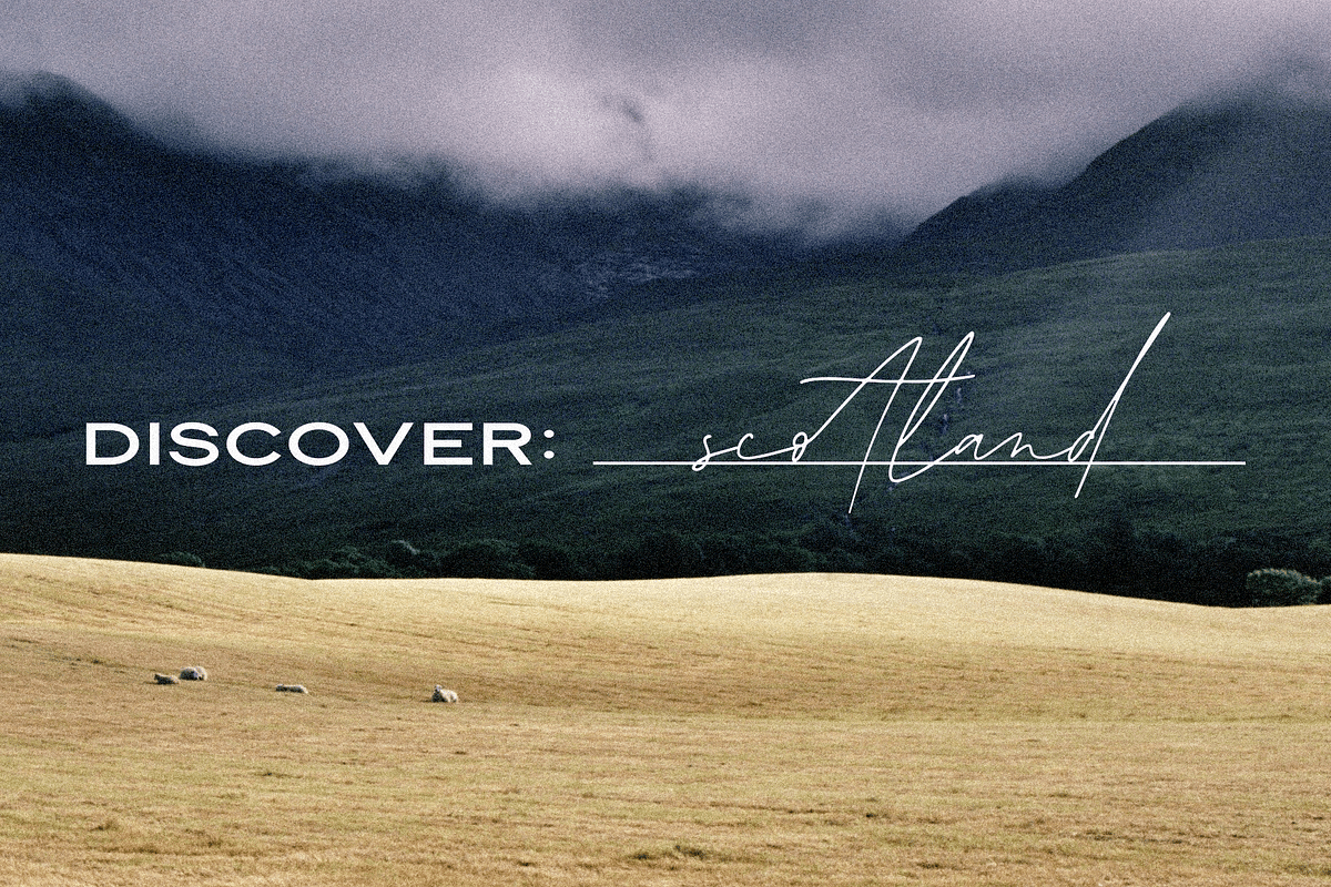 Modena | Duo with 6 Free Logos, a Sans Serif Font by Jen Wagner Co (Photo 13 of 22)