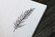 Feather. Sketch and patterns, an Illustration by Canatic (Thumbnail 2 of 7)