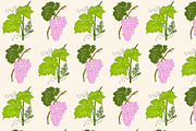 10 Grapevine seamless patterns, a Pattern Graphic by YvY (Thumbnail 10 of 12)