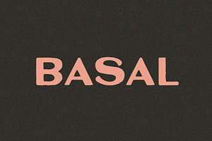 Basal I A Bold Sans Serif Font