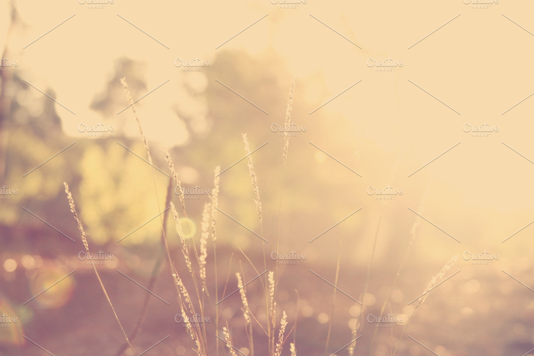 Sunset Background Stock Photo Containing Sun And Sunset