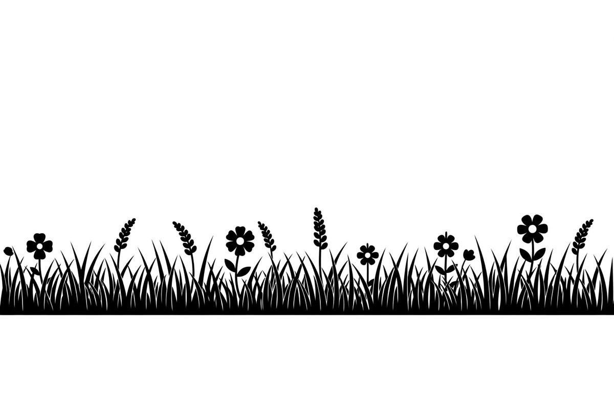 Floral Grass Border Silhouette Bundl, an Illustration by Amazin_art (Photo 20 of 51)