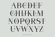 Cesso: Ligature Serif, a Serif Font by That That Creative (Thumbnail 11 of 17)