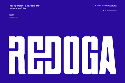 Redoga | Modern Tall Sans Serif Font