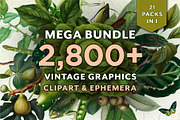 Vintage Bundle – 60% Off! – 21 Packs, an Object Graphic by The Object Atlas (Thumbnail 1 of 26)