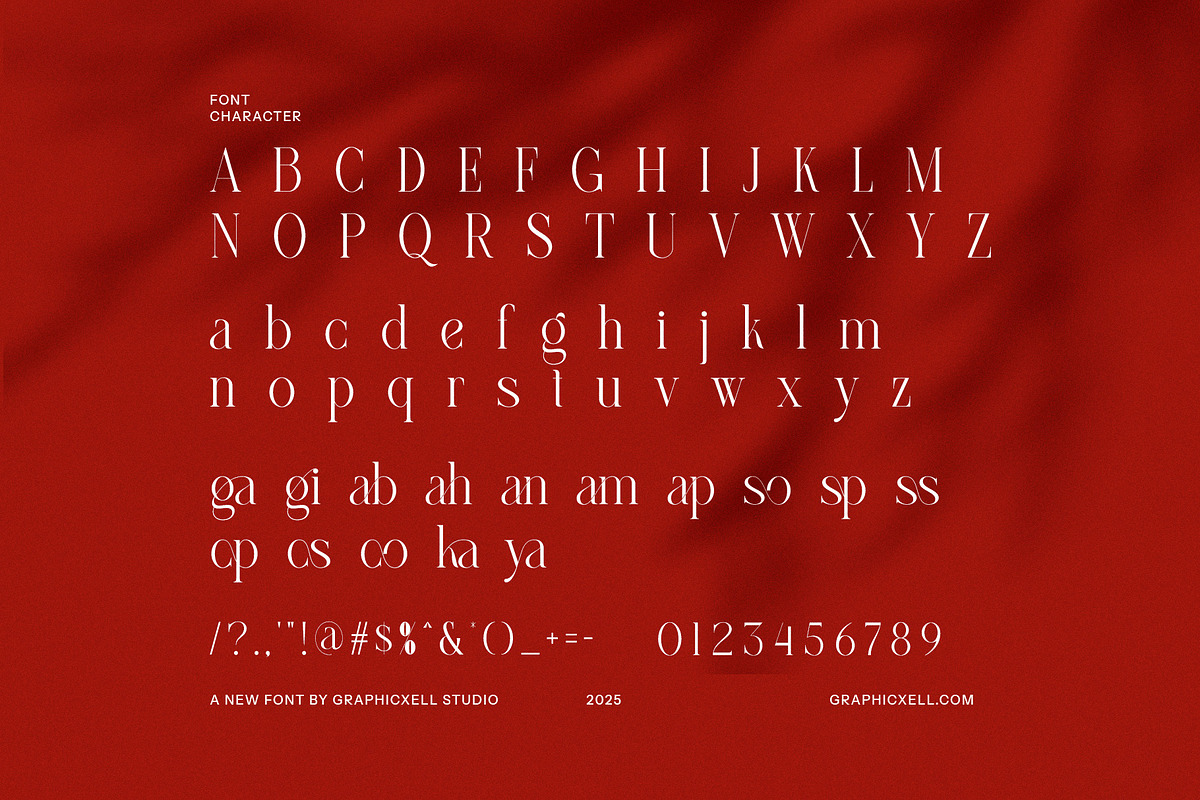Assa Mogana Elegant Serif Font, a Serif Font by Graphicxell (Photo 8 of 8)