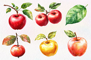 Falling Apples Watercolor Clipart, an Illustration by Dream Creation (Thumbnail 5 of 6)