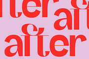 SLTF Refugio - Modern Grotesk Font, a Sans Serif Font by SilverStag Type Foundry (Thumbnail 16 of 30)