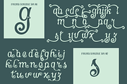Fullyra Script, a Script Font by TypeClassHeroes (Thumbnail 13 of 15)