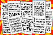 Fankey - Fill and Block, a Handwritten Font by Flavortype (Thumbnail 4 of 10)