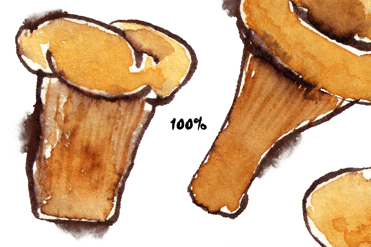 Chanterelles Watercolor Pattern, a Pattern Graphic by Mazheika Store (Photo 2 of 5)