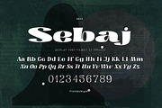 Sebaj, a Serif Font by Kisboszorka (Thumbnail 1 of 19)