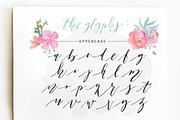 Patricia Dorothy Script, a Script Font by BlueRobinDesignShop (Thumbnail 6 of 9)