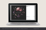 Nocturne - a dark floral collection, a Graphic by Anja Kaiser (Thumbnail 13 of 13)
