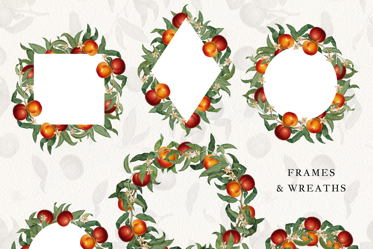 Vintage Peach Graphic Collection #01, a Decorative Illustration by Olga Begak Art & Design (Photo 4 of 9)