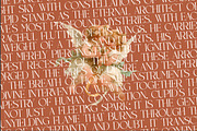 Sparkle Passion All Caps Display, a Serif Font by timelesstype.co (Thumbnail 9 of 20)