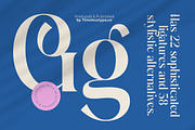 Gotten Summer Modern Serif Font, a Script Font by timelesstype.co (Thumbnail 9 of 20)