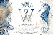 Underwater Watercolor Collection, an Animal Illustration by Evgeniia (Thumbnail 1 of 16)