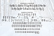 Winter Monday | Script Font, a Script Font by Scratchones (Thumbnail 7 of 8)
