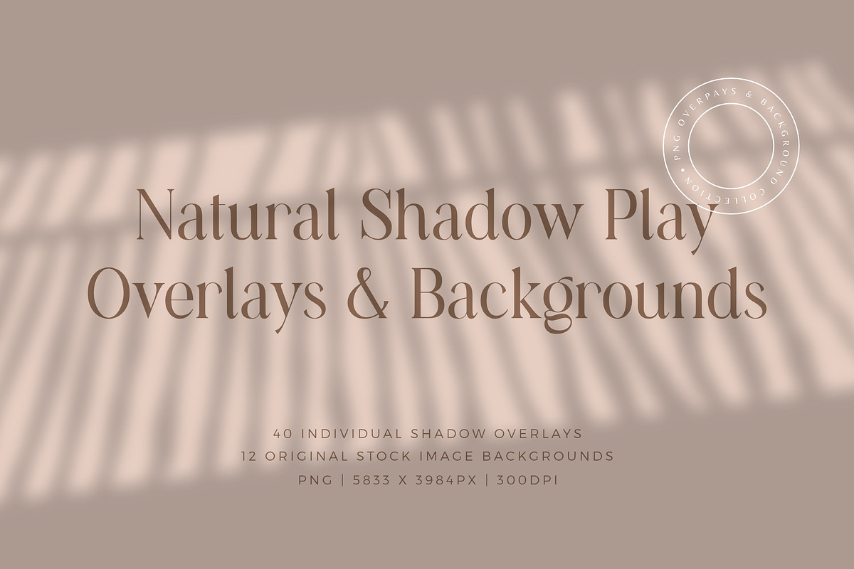 Natural Shadow Play Overlays, a Texture Graphic by Feather & Sage Design (Photo 1 of 17)