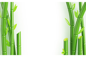 Bamboo 3d White Background. Asian