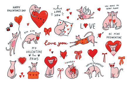 Valentine's Day Sphinx Hairless Cats