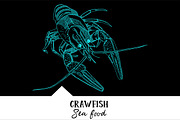 10 vector hand-drawn sea creatures, a Brochure Template by RichmanStudio (Thumbnail 3 of 11)