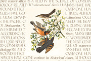 Aster Glow | Spring font duo, a Sans Serif Font by Anna Zakharchenko (Thumbnail 2 of 19)
