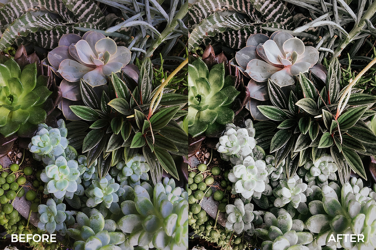 Insta Green Lightroom Mobile Presets, an Action Add-On by in between details (Photo 10 of 17)