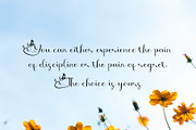 Butterfly - Script Font, a Script Font by Densu Creative (Thumbnail 2 of 7)
