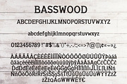Basswood Serif Font, a Serif Font by TinyWanderersArt (Thumbnail 4 of 5)