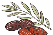 Ripe dates with leaves, a Food Illustration by SouravDesign (Thumbnail 2 of 3)