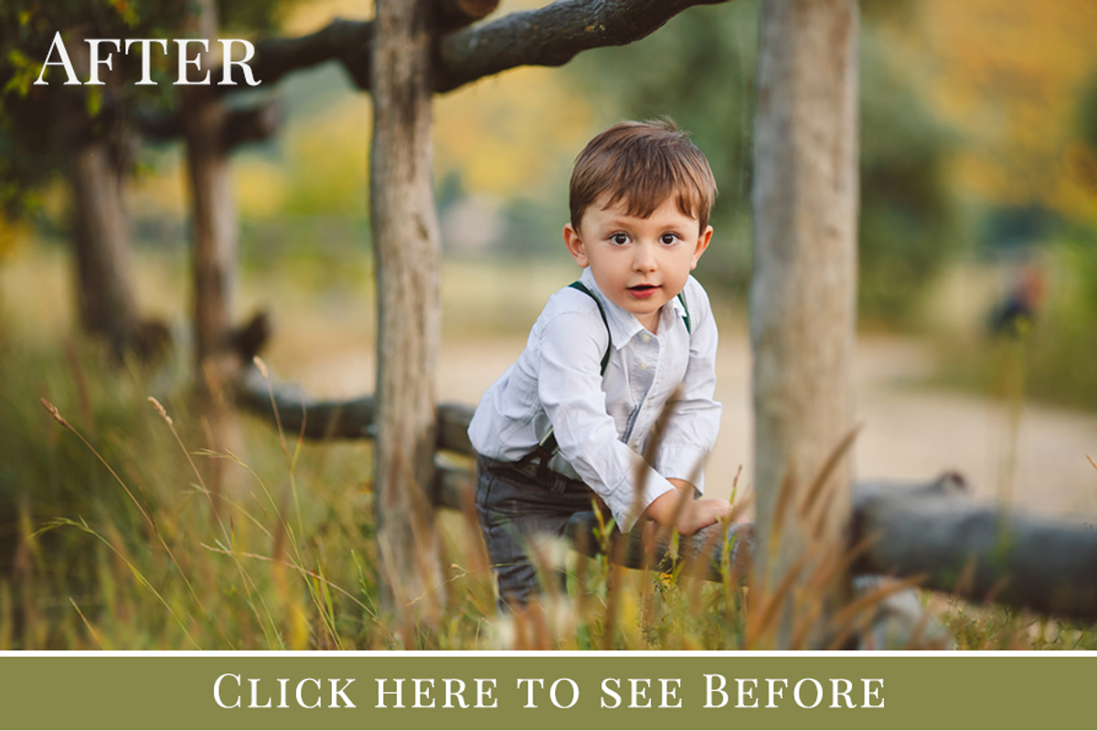 In The Grass photo overlays set, an Object Graphic by BrownLeopard (Photo 2 of 5)
