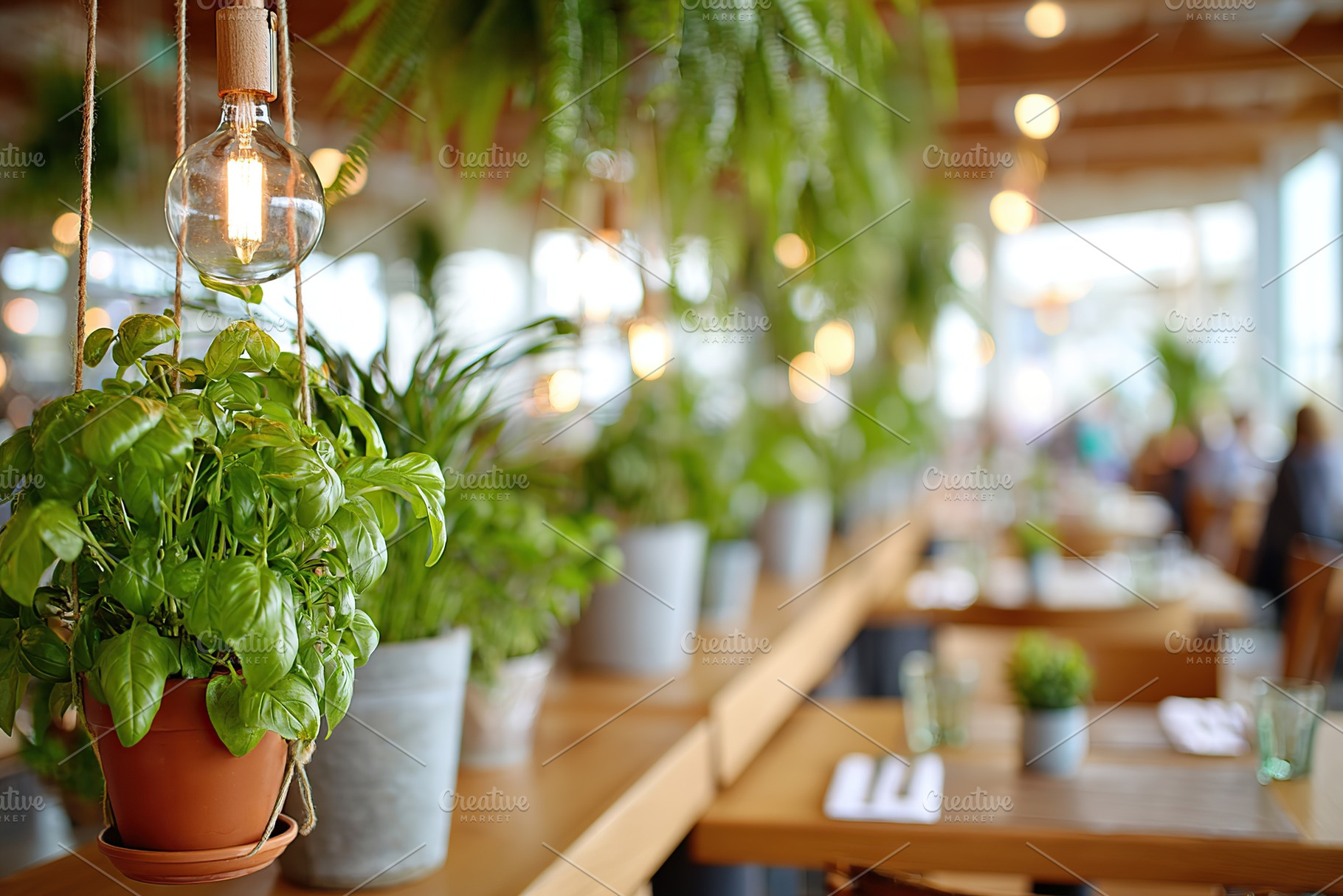 Cozy dining area with hanging plants and soft lighting in a restaurant, a Nature Photo by AlyaAnd