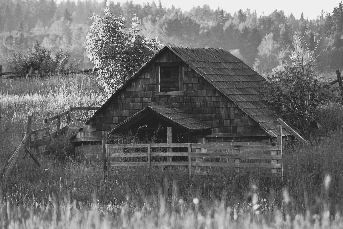 10 Matte B & W Landscape Drama preview 6