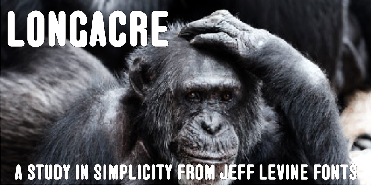 Longacre JNL, a Sans Serif Font by Jeff Levine Fonts